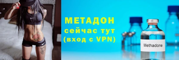 сатива Балахна