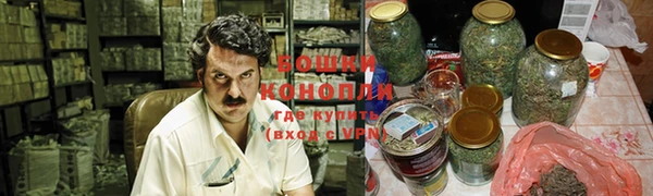 стафф Россошь